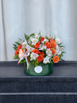 NO. 259 - Vibrant mood