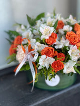 NO. 259 - Vibrant mood