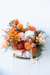 NO. 555 - White Queen Pumpkin