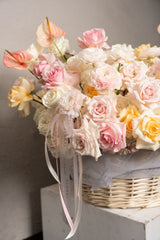 NO. 558 - Tender Basket