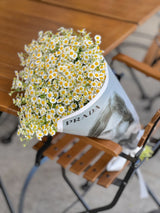NO.142 - Luxury Chamomile bouquet - order in Flower Shop N5 LA