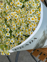 NO.142 - Luxury Chamomile bouquet - order in Flower Shop N5 LA