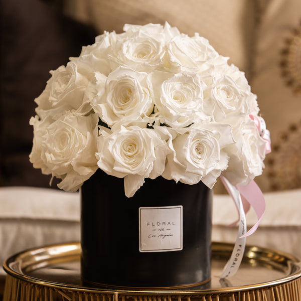 white rose potted plant NO.200