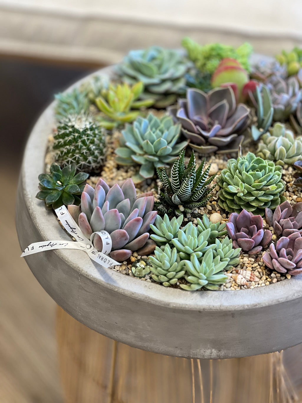 succulent potted arrangements NO. 398
