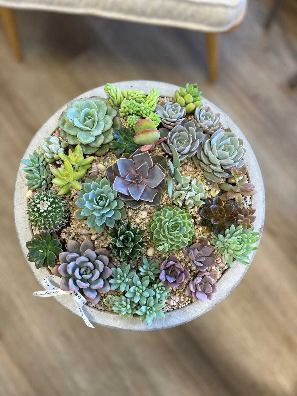 round succulent centerpieces Floral N5 | NO. 398