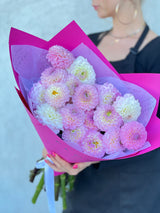 NO.20 -Pink Dahlia Elegance