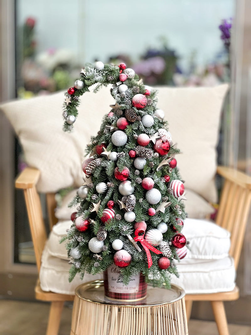 Red Christmas Tree - order in Flower Shop N5 LA