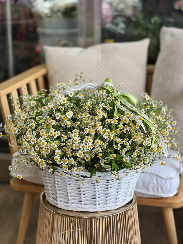 NO.155 - Natural basket with Chamomile [MD] - order in Flower Shop N5 LA