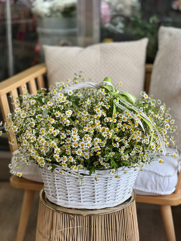 NO.155 - Natural basket with Chamomile - order in Flower Shop N5 LA