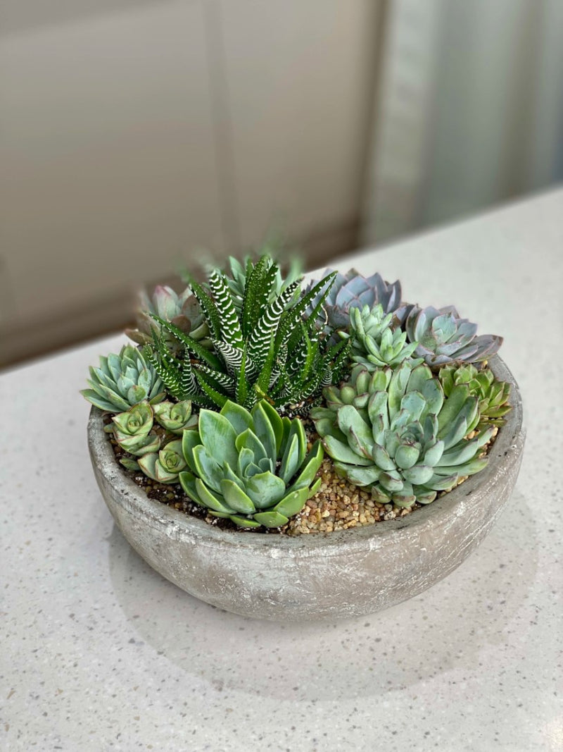 ceramic succulent planter pot NO.158